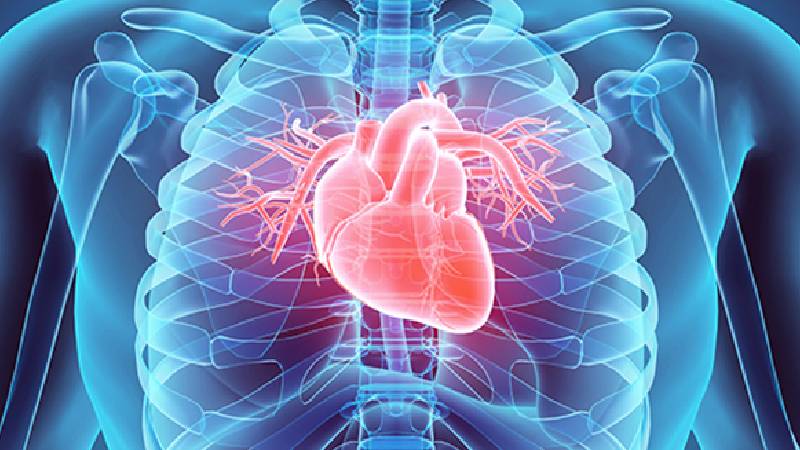 Cardio Health